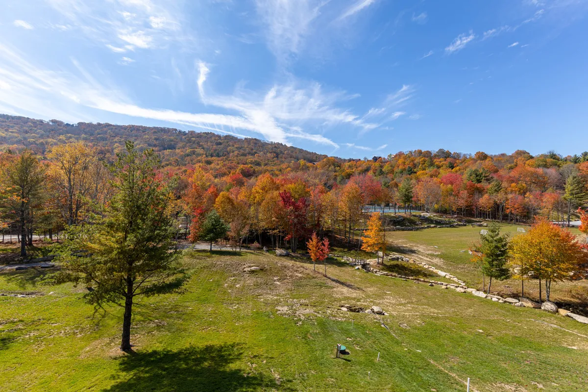 This image captures vibrant autumn foliage blanketing rolling hills beneath a clear blue sky, inviting viewers to imagine outdoor exploration. The natural landscape suggests a place where guests and their pets can roam, hike, and play in scenic surroundings.